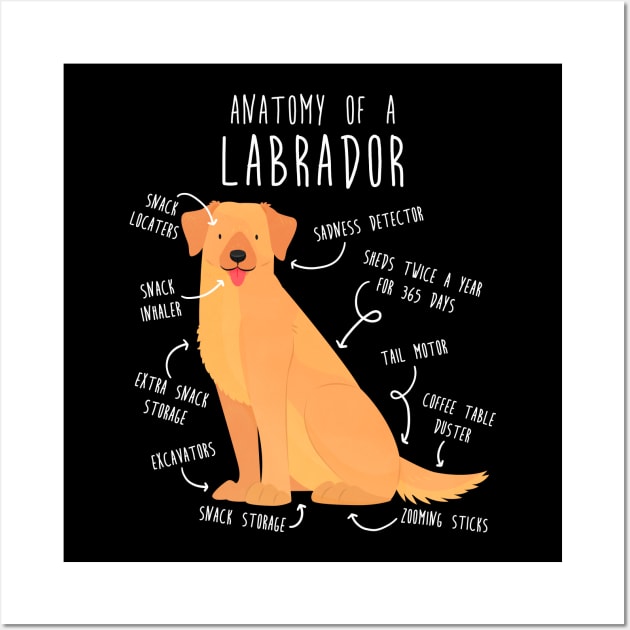 Yellow Labrador Retriever Dog Anatomy Wall Art by Psitta